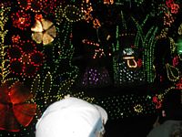 Light Parade